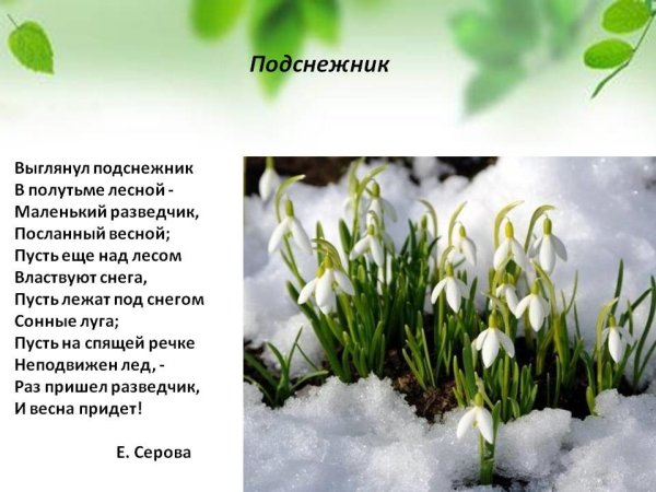Стихотворение про Подснежник