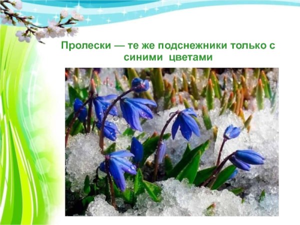 Надпись Подснежник