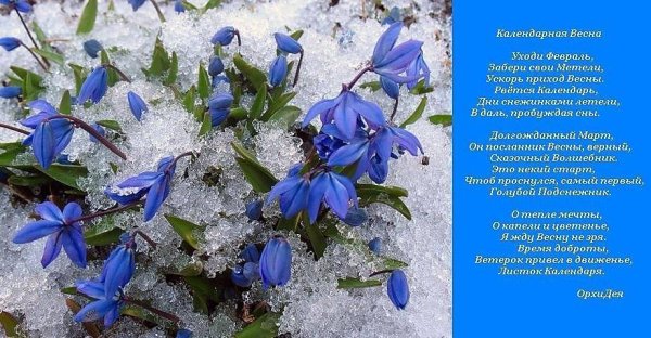 Весенние цветы описание