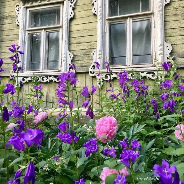 Бабушкин палисадник клумба палисадник