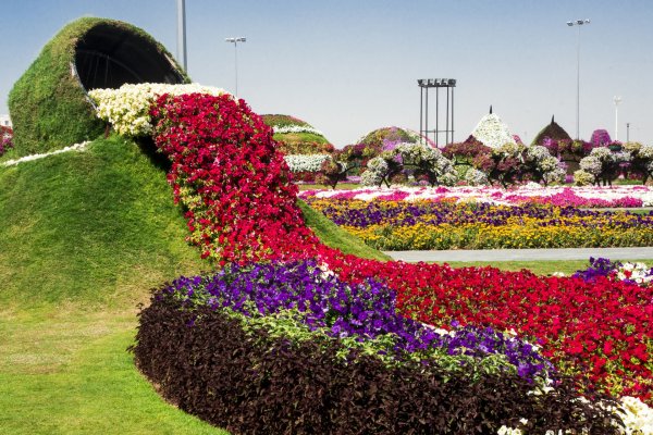 Al Ain Paradise парк