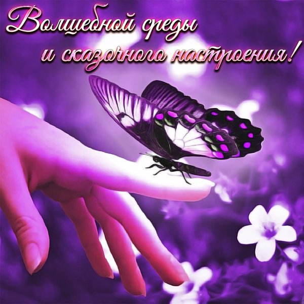 Поздравления с днем рождения цветы