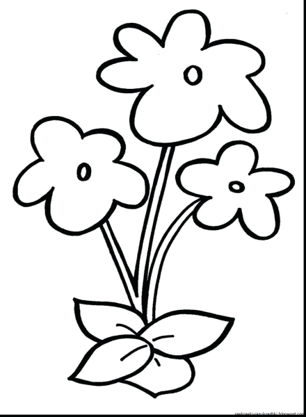 Раскраска Маленькие цветы и мухомор, скачать и распечатать раскраску раздела Цветы