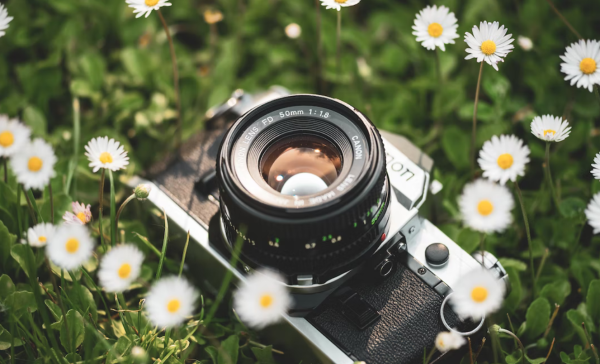 Фотоаппарат и цветы