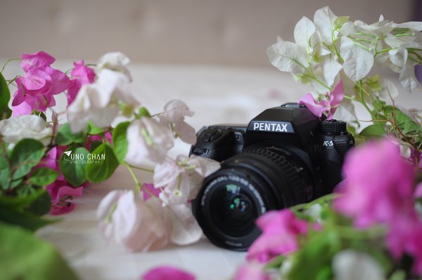 Фотоаппарат и цветы