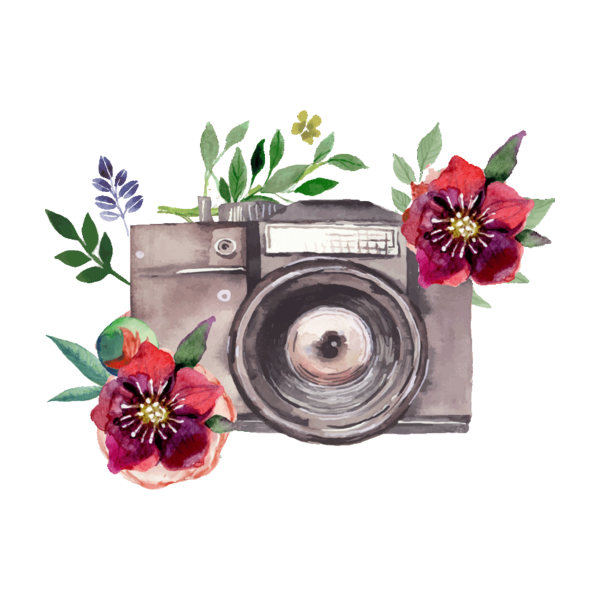 Фотоаппарат цветочками