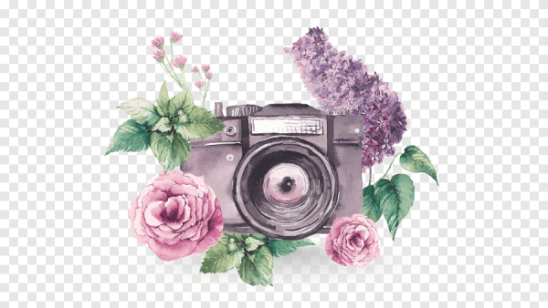 Фотоаппарат акварель