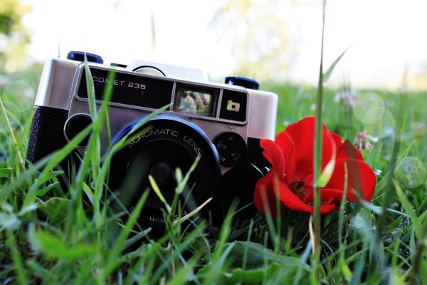 Фотоаппарат и цветы