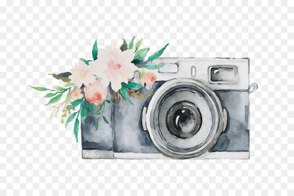 Композиция с фотоаппаратом