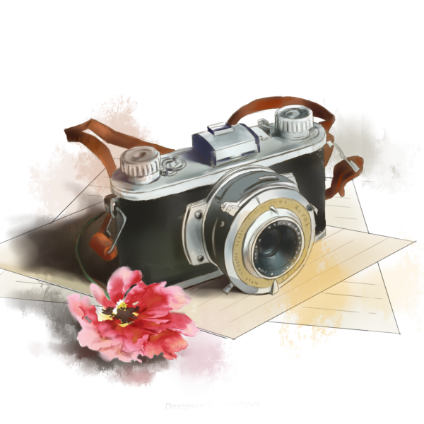 Фотоаппарат и цветы