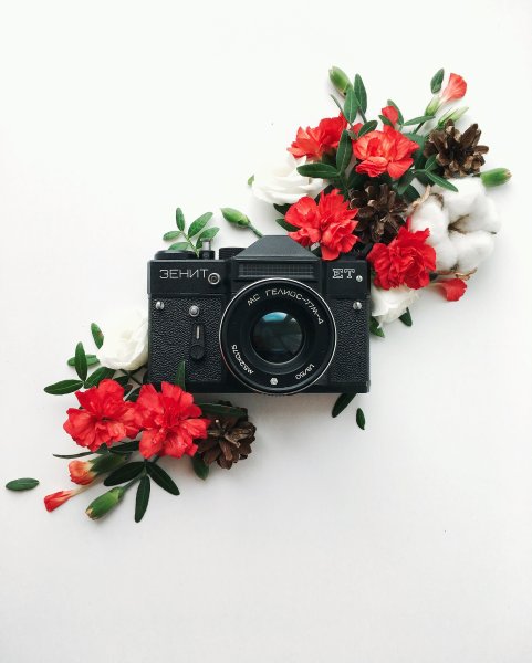 Фотоаппарат с цветами
