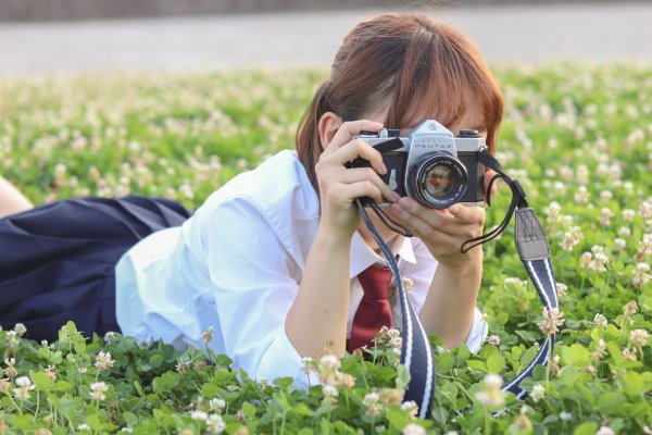 Розы фотоаппарат