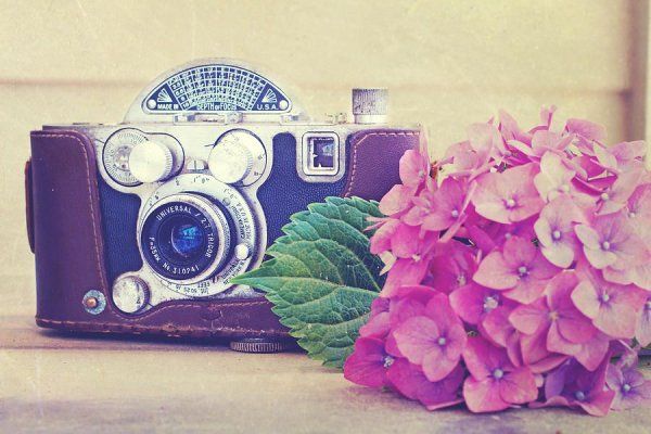 Фотоаппарат в цветах