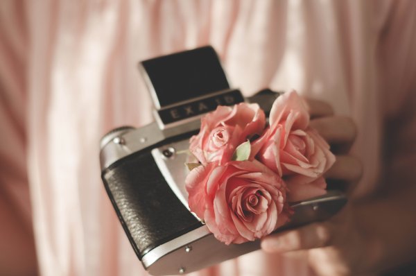 Фотограф цветы