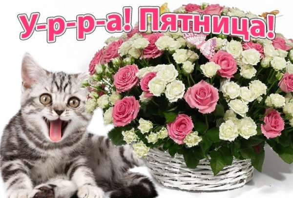 С пятницей цветы
