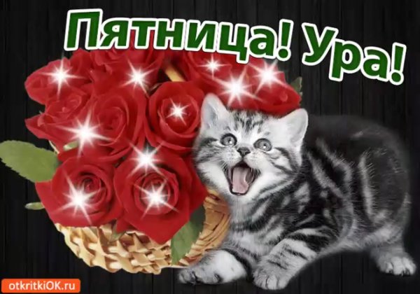 Ура пятница