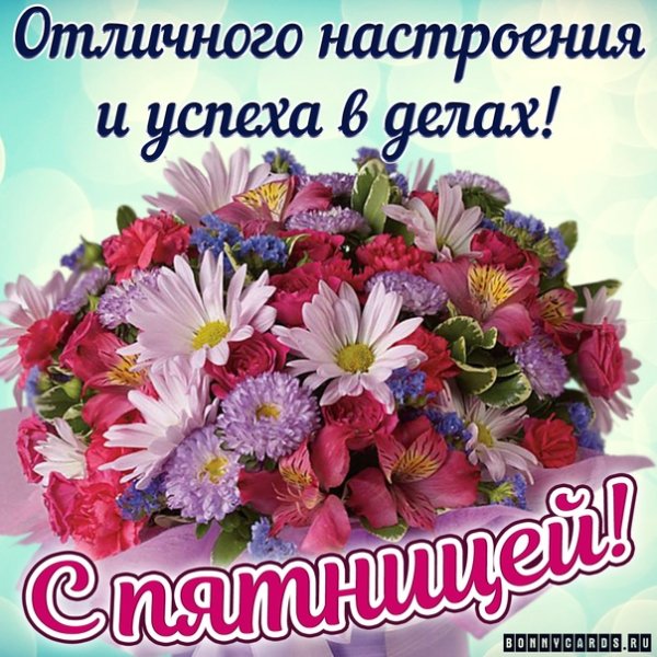 Открытки с котиками пятница
