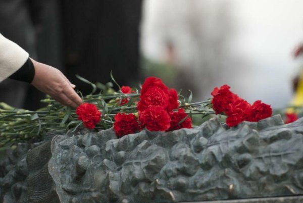 Гвоздики на могиле