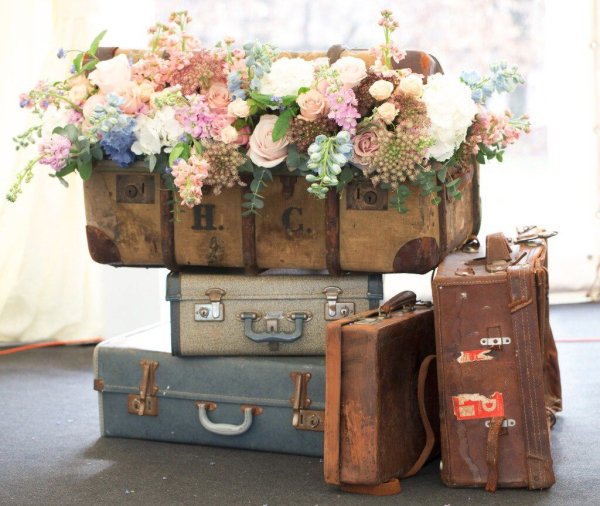 Цветы в чемодане