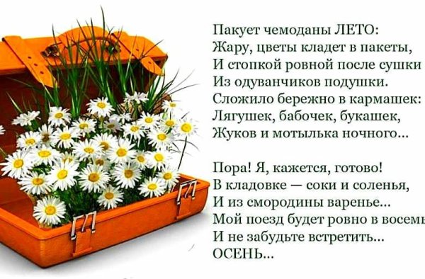 Чемоданчик с цветами