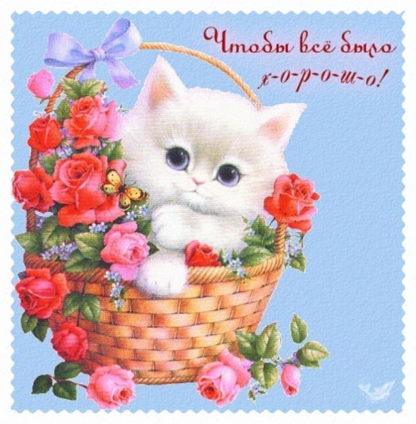 Открытки с изображением солнца