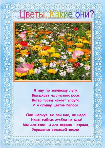 Труд в детском саду