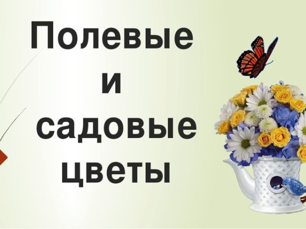 Рекомендации по теме недели цветы