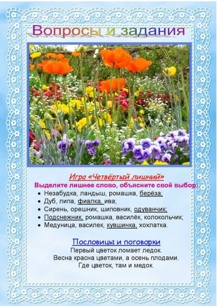 Дошкольнику о цветах