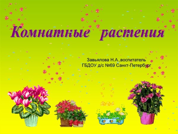 Комнатные растения для детей старшей группы