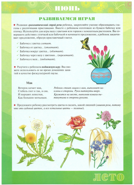 Комнатные растения для дошкольников