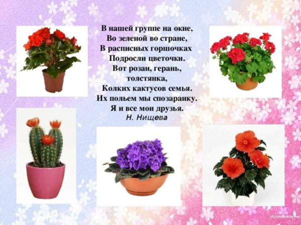 Алгоритм ухода за растениями