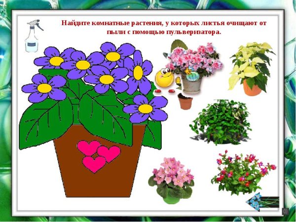 Тема недели мир природы