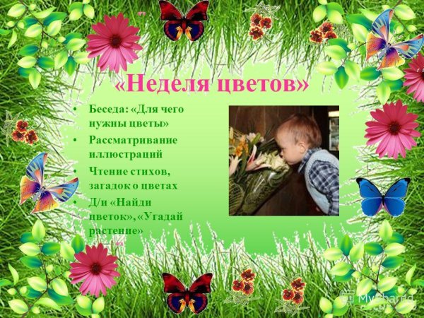 Дети с первоцветами в ДОУ