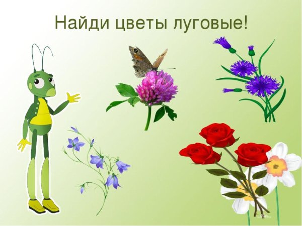 Цветы задания для дошкольников