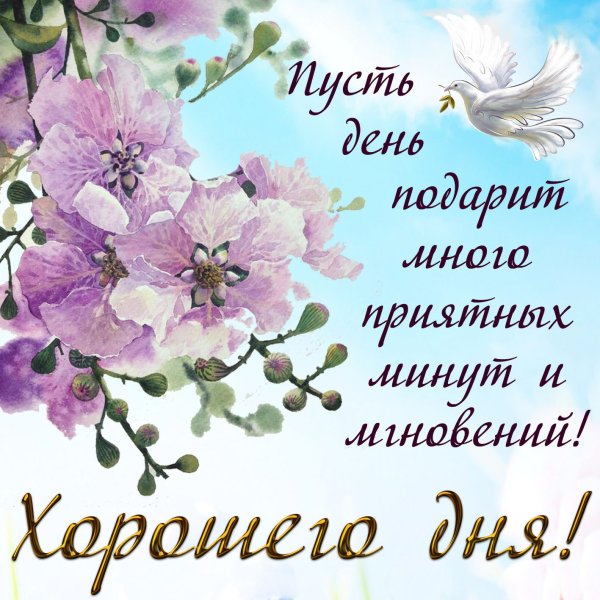 Приятного утра и доброго дня