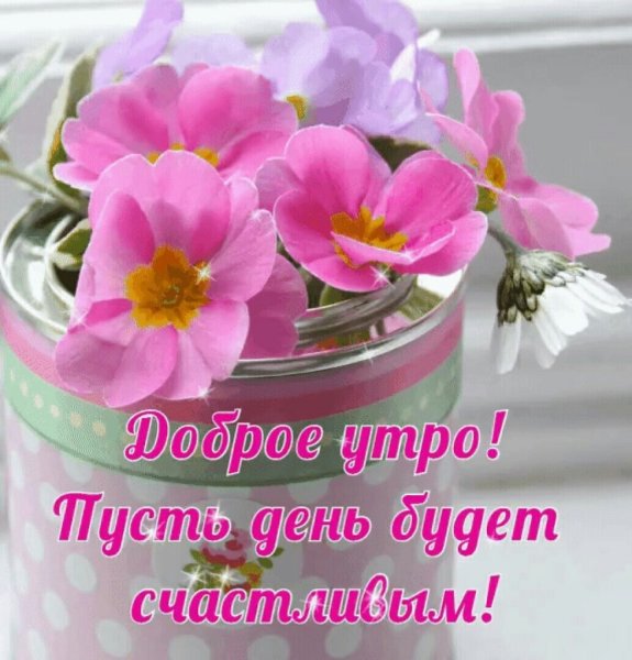 Красивые розы с пожеланиями доброго утра
