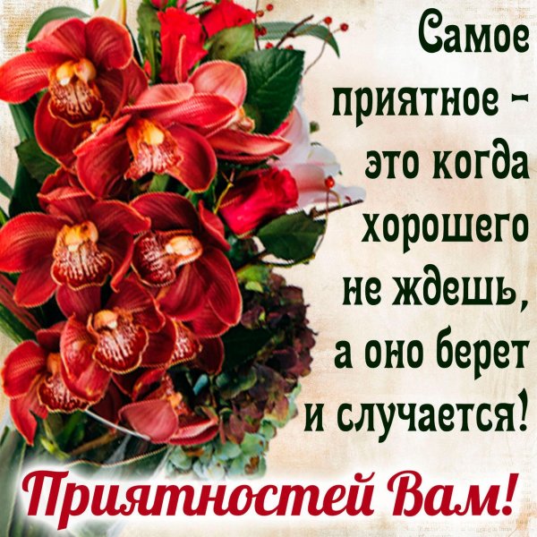 Весенние цветы с пожеланиями