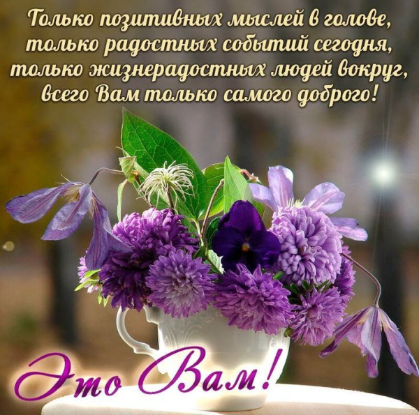 Доброе утро незабудки