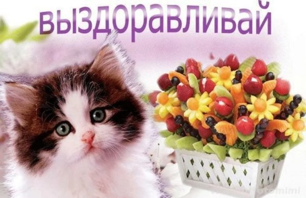Выздоравливай картинки