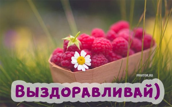 Выздоравливай картинки