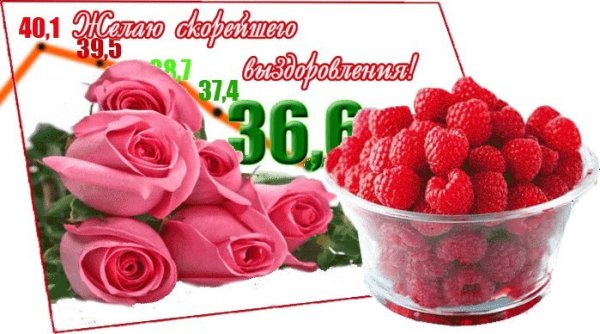 Цветы для выздоровления