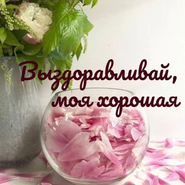 Выздоравливайте воспитателю