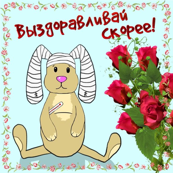 Фото цветов выздоравливай