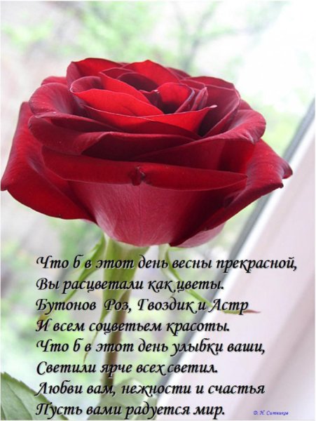 Стихи для девушки