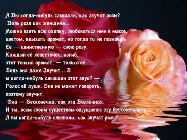 Стих про розу