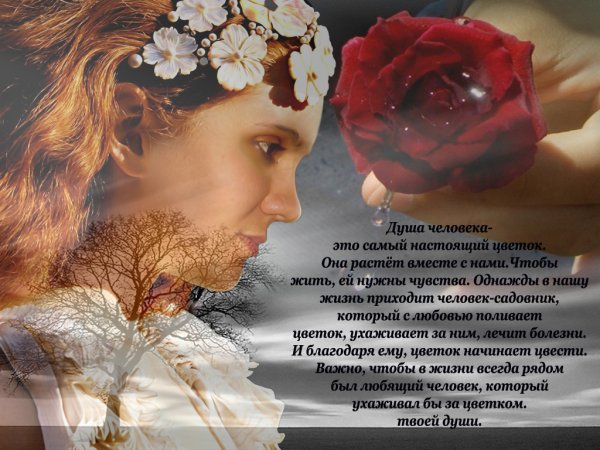 Стихи для души