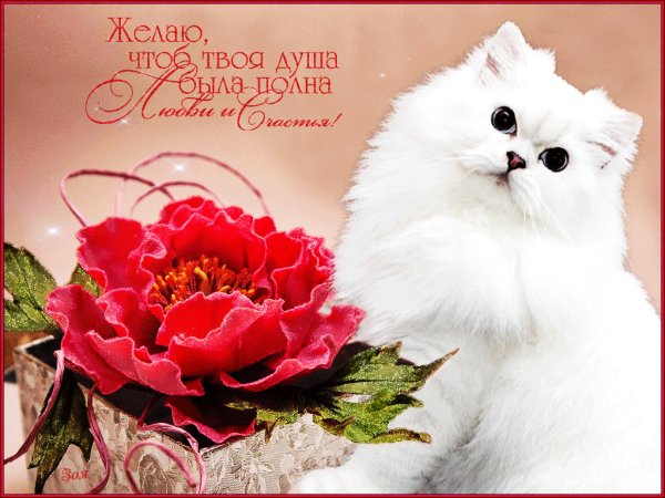 Хорошие слова хорошему человеку