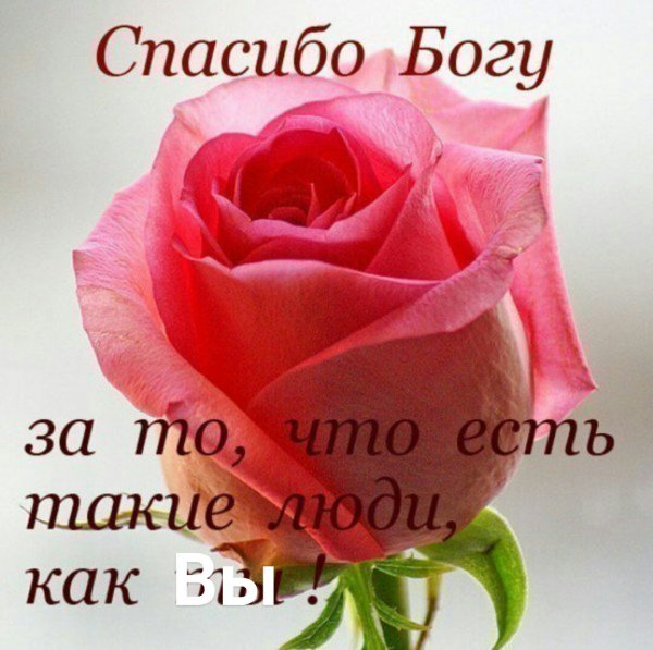 Стихи благодарности