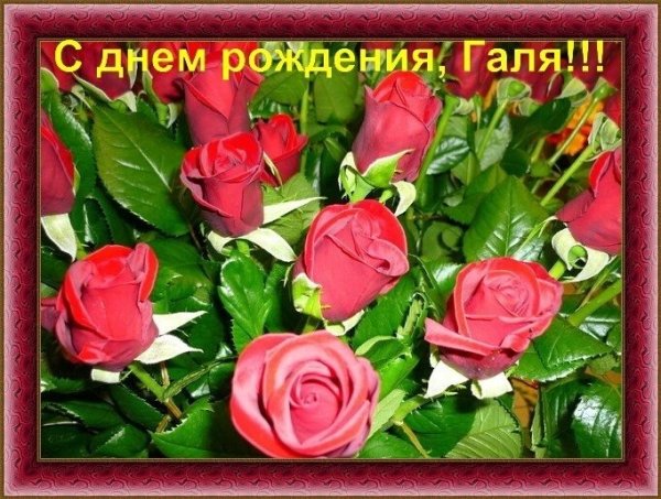 С днём рождения галочка