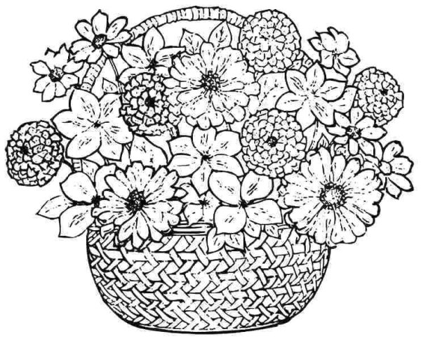 Роза раскраска